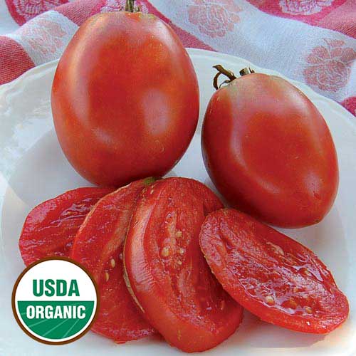 Tomato, Amish Paste (organic)