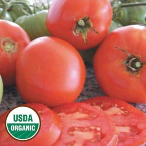 Tomato, Brandywine (Red) (organic)
