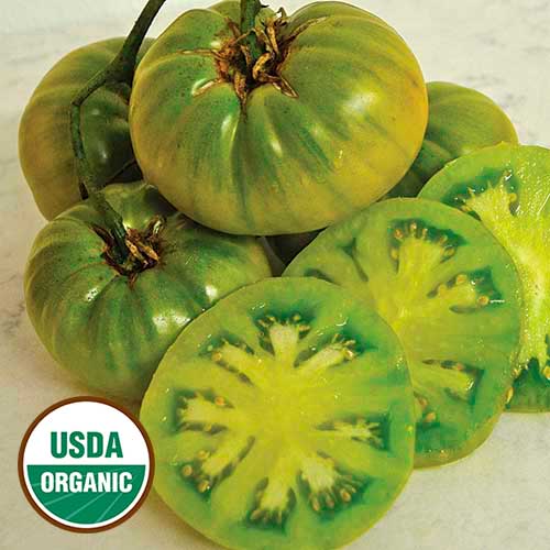 Tomato, Tasty Evergreen (organic)