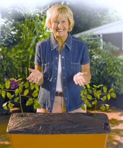 EarthBox Original Mulch Cover (2 Pack) - Image 2