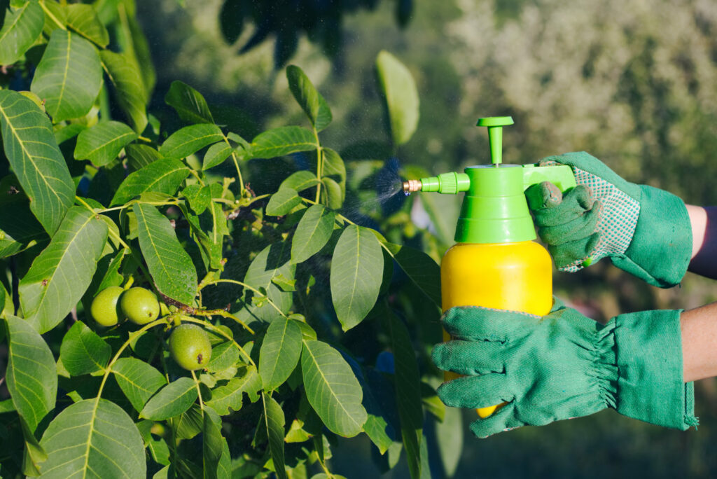 pesticide spray 1600x1068 1