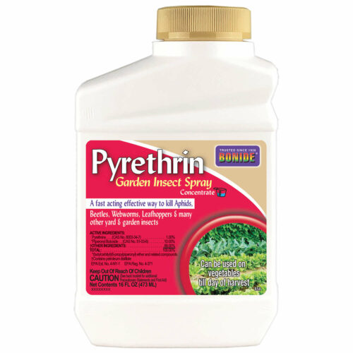 pyrethrin spray 8 oz