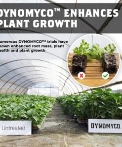 Dynomyco Stick 7 oz/200g - Image 3