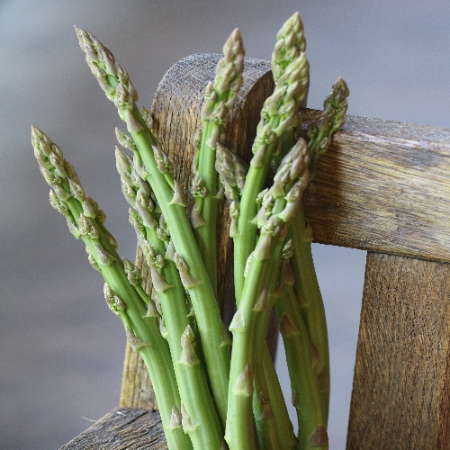 0341 three pound coffee can asparagus organic