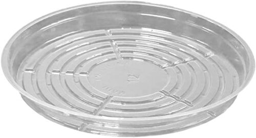 12 in clear saucer