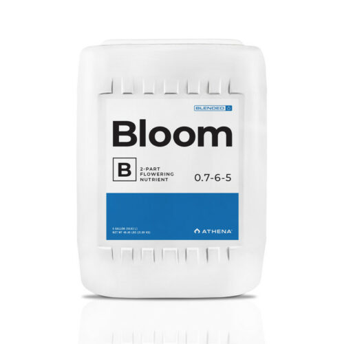 Bloom B 5 Gal