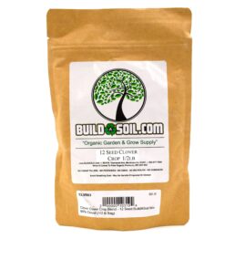 Clover Cover Crop - White Dutch