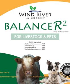 Wind River Balancer2