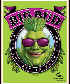 Advanced Nutrients Big Bud